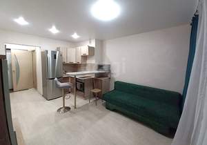 Студия квартира, на длительный срок, 20м2, 13/16 этаж