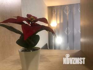 1-к квартира, посуточно, 38м2, 1/10 этаж