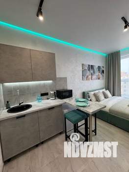 Студия квартира, посуточно, 24м2, 9/9 этаж