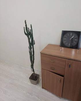 2-к квартира, на длительный срок, 45м2, 3/5 этаж