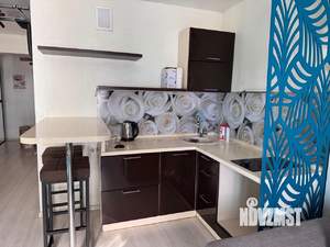 1-к квартира, на длительный срок, 33м2, 11/17 этаж