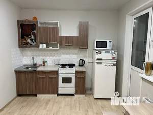 1-к квартира, на длительный срок, 30м2, 11/17 этаж