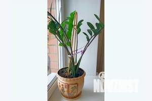 2-к квартира, посуточно, 56м2, 14/16 этаж