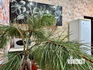 Студия квартира, на длительный срок, 25м2, 2/4 этаж