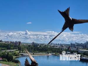 Студия квартира, посуточно, 28м2, 15/16 этаж