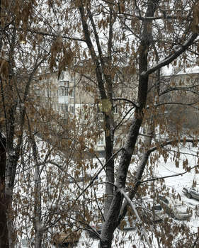 Студия квартира, вторичка, 19м2, 4/5 этаж