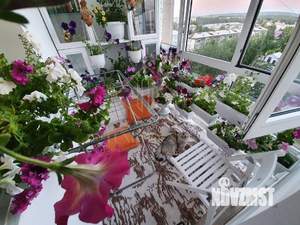 1-к квартира, вторичка, 55м2, 9/12 этаж