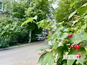 2-к квартира, вторичка, 48м2, 5/5 этаж