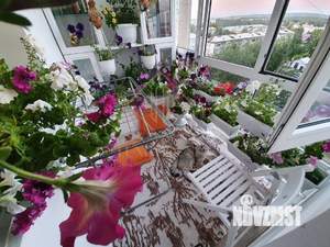 1-к квартира, вторичка, 51м2, 9/12 этаж