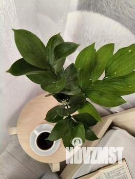 3-к квартира, вторичка, 88м2, 3/9 этаж