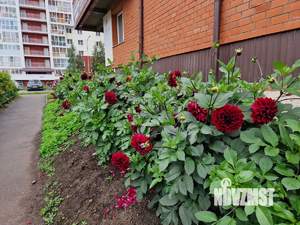 3-к квартира, вторичка, 92м2, 3/17 этаж